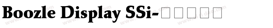 Boozle Display SSi字体转换